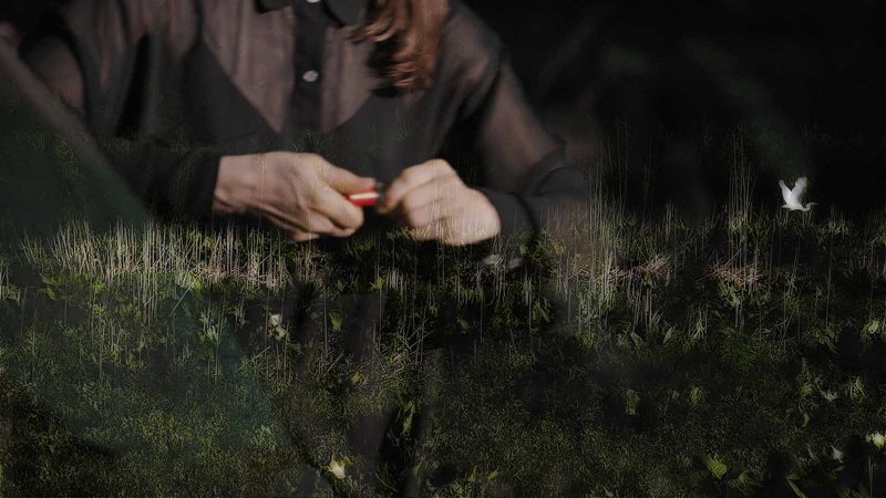 Maddie holding a red small object with images of grass double exposed on top and a small white bird in flight on the right.