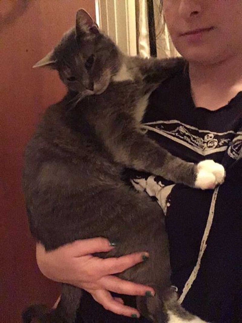 A woman visible from the nose down holding a cat in one arm, taking a selfie with the other.