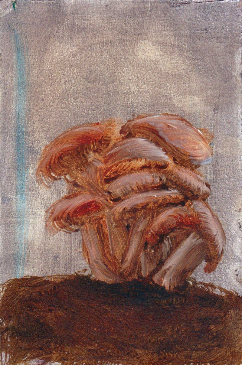 Painting of a clump of mushrooms growing in brown dirt with a gray background. 