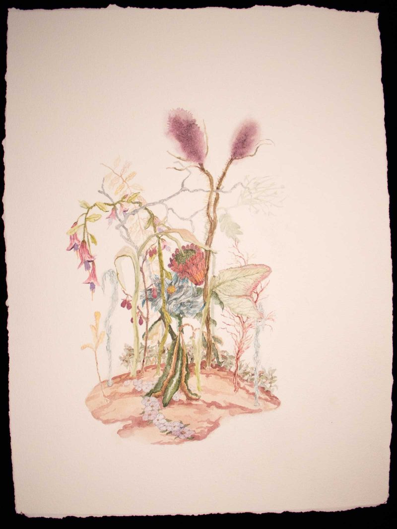 Watercolor of plants in a bunch on a small plot of land surrounded by white space