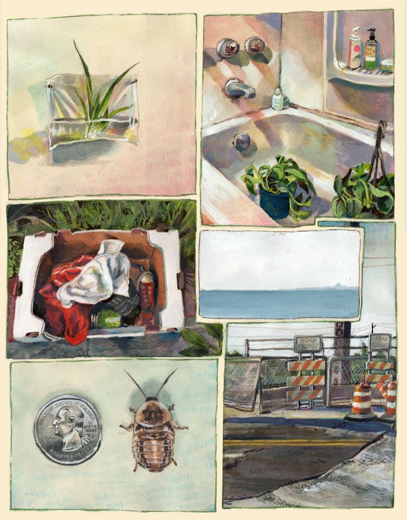Watercolor with 6 panels overlapping and fitting together depicting house plants hanging and in a bathtub, a produce box with clothes in them, a bug next to a quarter, and the side of a road with construction cones.