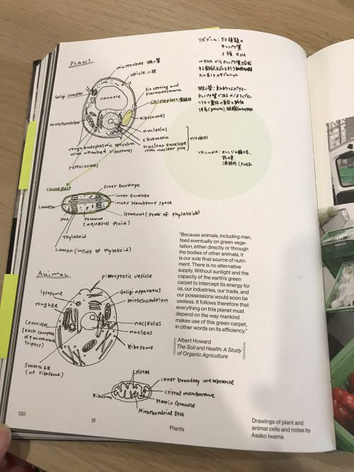 Olafur Eliasson's cookbook sitting open to a page full of notes and drawings by Olafur Eliasson which illustrate the accompanying text.