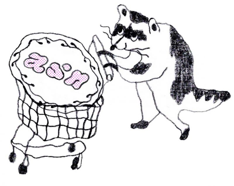 A drawing of a raccoon pushing a shopping cart that holds a circular object with the initials "asn" on it.