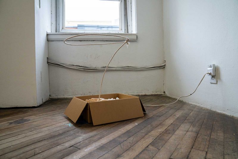 Sculpture of a hand sitting inside of a cardboard box with a stiffened rope lasso emerging from the center of the sculpture hand, up above the hand, floating in mid-air.