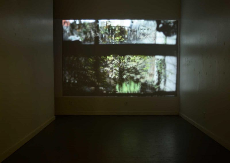 Large video installation in a bare room with white walls. One wall is filled with a video projection of an exterior nature scene. It looks like it was filmed from an interior space, due to a horizontal rectangle of gray shadow 1/3 down from the top of the frame, possibly a windowpane. The image is blurry and distorted, but the central image appears to be a tree, with shadows from the tree on the left-hand side of the frame, and what looks like the side of a house on the right-hand side of the frame.