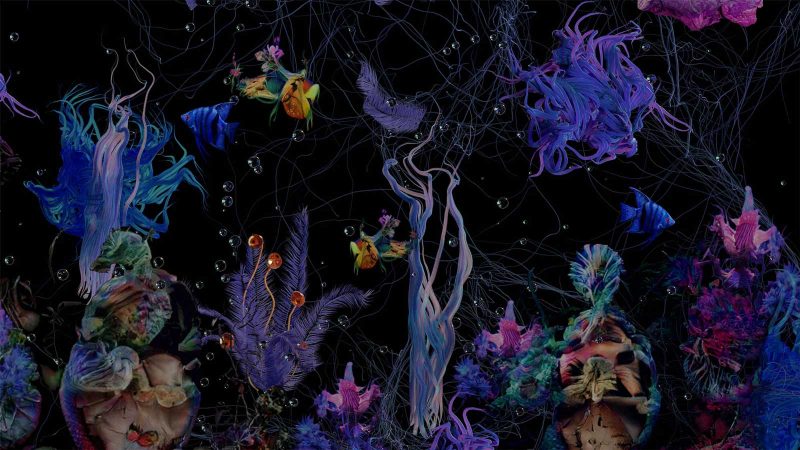 Dark black seascape with vibrant multi-colored fish, weeds, bubbles, and sea creatures floating around.
