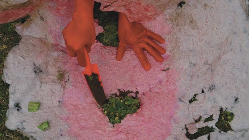 Two hands in orange gloves, one scooping dirt on top of green clovers on the ground, the other grasping a pink and white textured surface on the ground.
