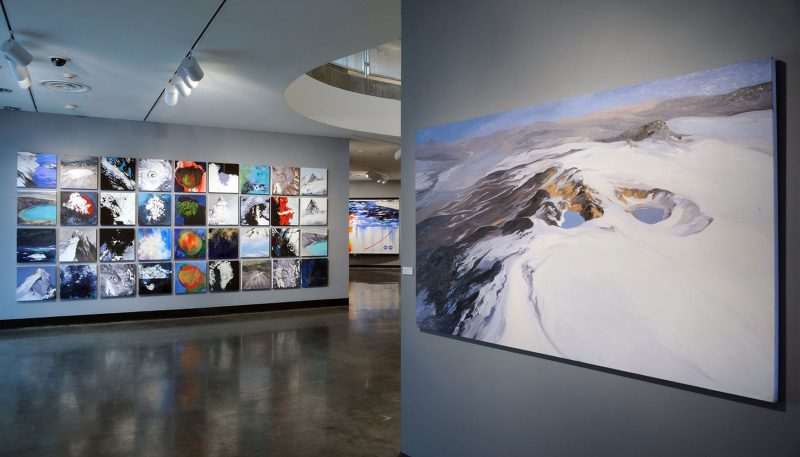 Installation view of 36 small and 1 large nature inspired paintings in a gallery space, some abstract and some realistic.