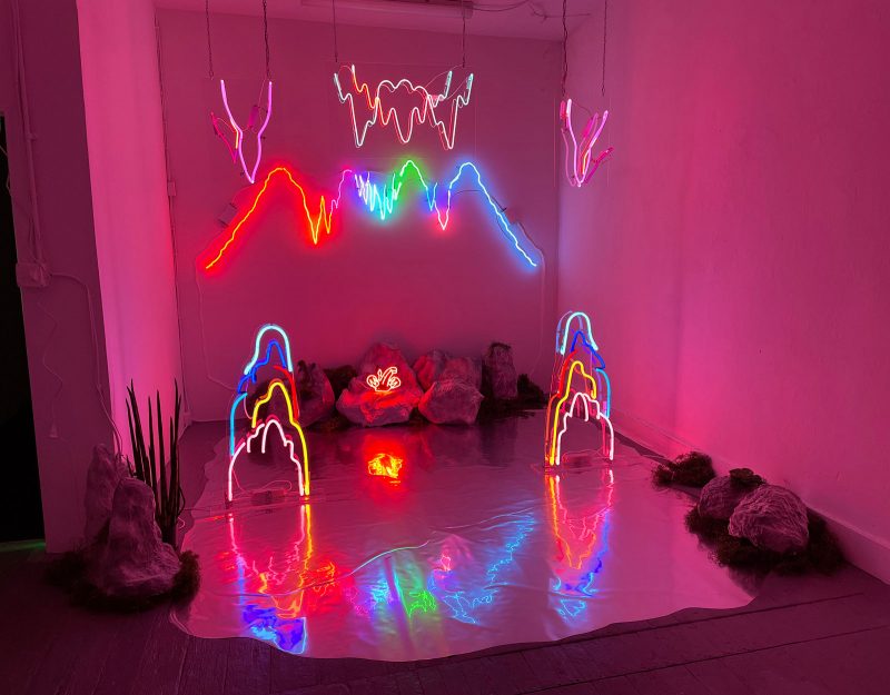 Installation of neon glass sculptures, faux rocks, and a real plant on a silver fabric platform; the installation resembles an electric cavern.