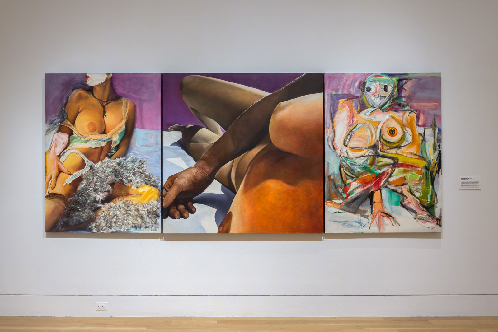 Artblog Sex, aging bodies and the human condition, Joan Semmels overdue first solo museum show, at Pennsylvania Academy of the Fine Arts