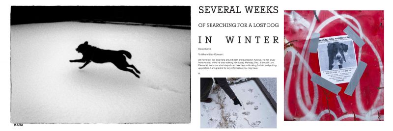 Digital collage of images of a dog running in the snow, someone pointing to dog tracks in the snow, a "missing dog" poster on a red graffiti'd wall, and the title "several weeks of searching for a lost dog in winter."