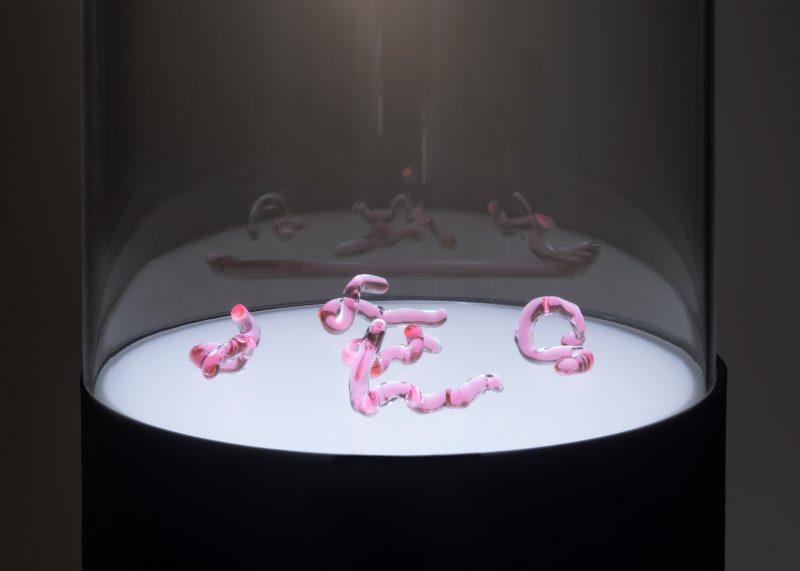 Heather Dewey-Hagborg's pink glass sculpture installation sits on top a round white surface, dramatically lit in a dark room.