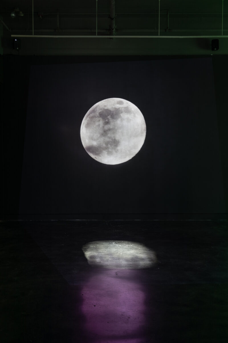 An image of the moon, in various shades of gray, floats in a dense black background with a watery reflection of itself on the floor beneath as if reflected on water. A violet shadow on the floor adds color from a different video in the space.