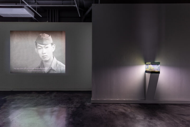 A video is projected on the back wall of a gallery showing an image of an Asian man dressed in World War II American army uniform, and in front of the right wall, a small terrarium sits on a pedestal and is brightly lit from inside.