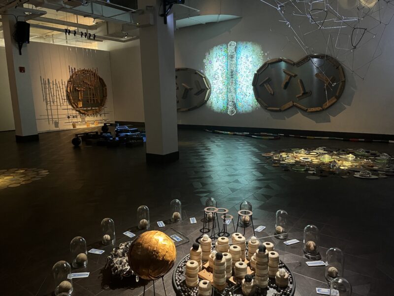 A dark gallery space has objects on the floor, some under glass bell jars and others that look like discs brightly spotlit and on the back walls are large round sculptural reliefs and an aqua-colored video projection of what look to be cells moving around in a solution.