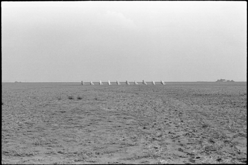 A black and white landscape photo with 10 cars sticking diagonally bottom up in a flat desert.