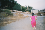 There is a fair skinned woman in a pink calf length dress with black hair in a bun. She runs down a road to an intersecting road with sheep walking up it. Shrubbery and a small building cover the background.