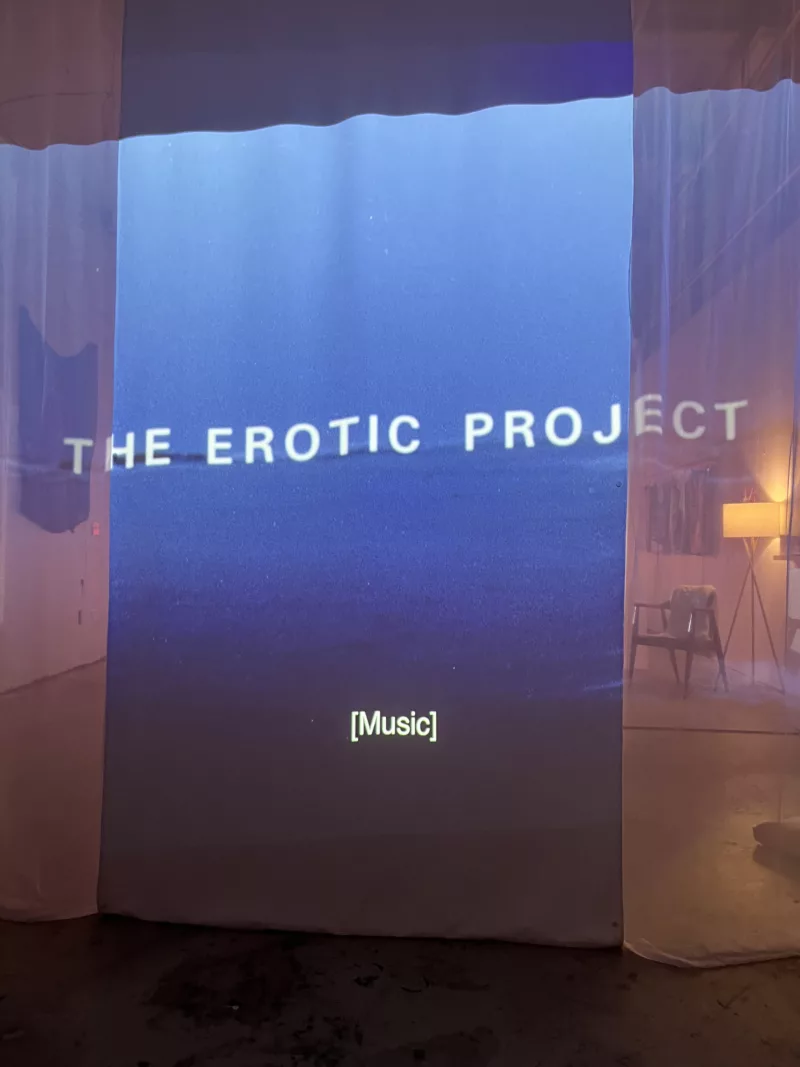 A projector screen shows a block of ocean with the title "The Erotic Project" scrolled across it. In the background is the gallery space with a chair, a lamp, and hangings on the wall.