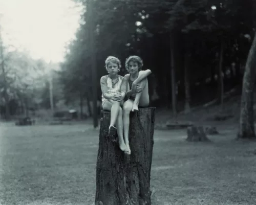 Two children sit atop a stump coming far out of the ground. They are dwarfed by the trunk. The background is a forest clearing littered with stumps.