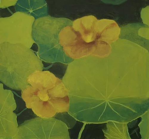 Two yellow flowers sit in between large green leaves. 