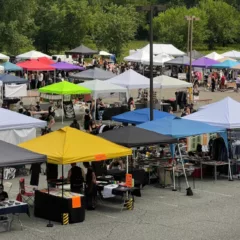 A parking lot full of vendors under pop up tents.