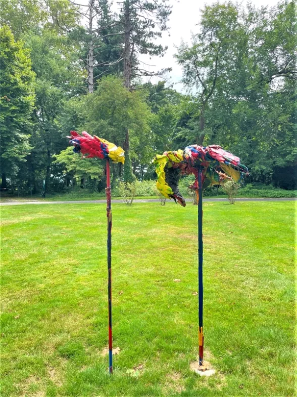 Two colorful, drooping, bird-like objects sit on top of tall poles situated close to each other in a grassy area surrounded by trees.