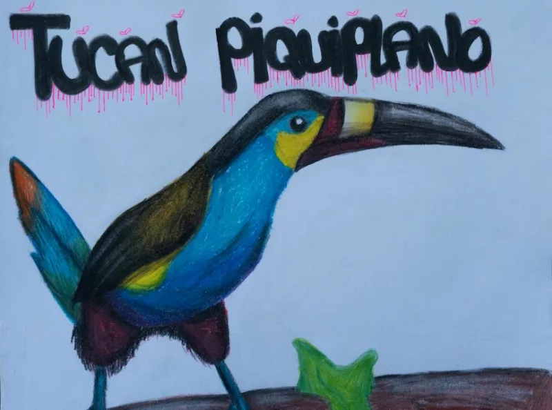 A toucan colored blue, yellow, red and black stands on a tree branch and stares right with his beak pointed out of the picture. Above the bird are words, “Cucan Piquiplano” in thick black letters, with pink lines seeming to melt from the letters and tiny pink flies flying above the letters.