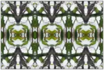 An image shows a repeat design with kaleidoscopic patterning, made from images of corn stalks and corn husks.