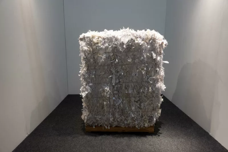 A bale of shredded paper sits on a pallet in a small enclosed windowless space. The paper shreds are all white and the overall appearance is shaggy like a shag rug. The affect is forlorn, with the bale presented like an artifact from the past and cautionary tale for the future.