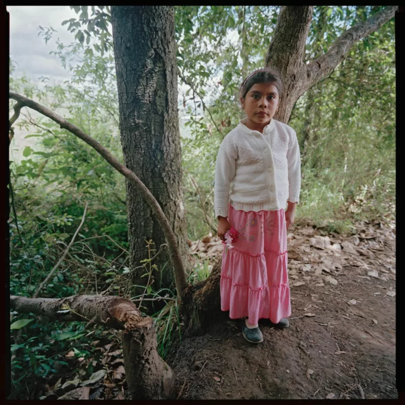 A girl in a long pink dress and white sweater holds some flowers and stares out at you. She is standing in an elevated wooded area under some trees and in the background at the left you can see a suggestion of a vast plain below and far distant mountains.