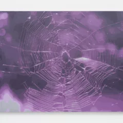 A painting that is hyper-realistic shows a closeup of a spider’s web. The entire picture is tinted in a violet shade, which imbues the web with an otherworldly, almost sickening flavor.