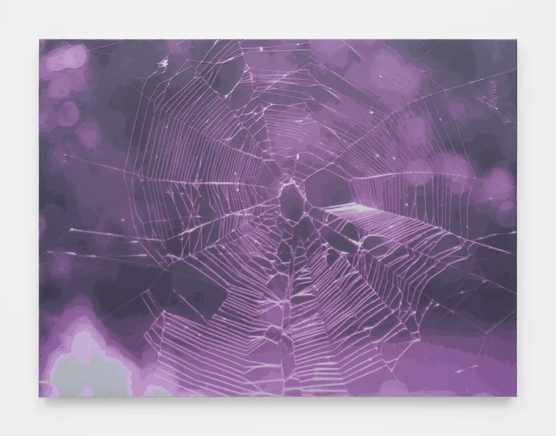 A painting that is hyper-realistic shows a closeup of a spider’s web. The entire picture is tinted in a violet shade, which imbues the web with an otherworldly, almost sickening flavor.