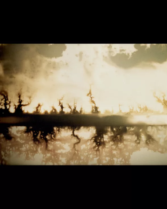 An experimental photograph shows what looks to be a dark land form, like a levee, with a river beneath showing shadows or reflections of burned foliage or bushes, and above the levee, a few burned looking shards of bushes rise up, with the sky looking an eerie burned bright color. 