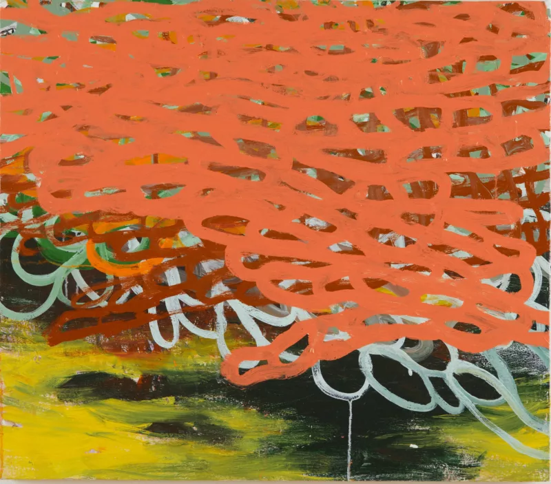 A bright-colored abstract painting shows what looks like a cloud — made up of layers of a loose-knit net, with different colors underneath peeking through the top orange layer. The net casts a dark shadow over a field of black and acid yellows and greens below. 