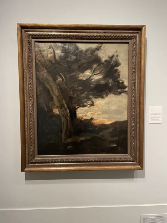 An old master oil painting by Jean-Baptiste-Camille Corot in a gilded frame shows an intimate landscape scene with a large tree taking up most of the top half of the painting with its leaf-filled branches stretching out over the horizon with a setting sun, where a lone lioness stands in the distance as if looking at the sunset.