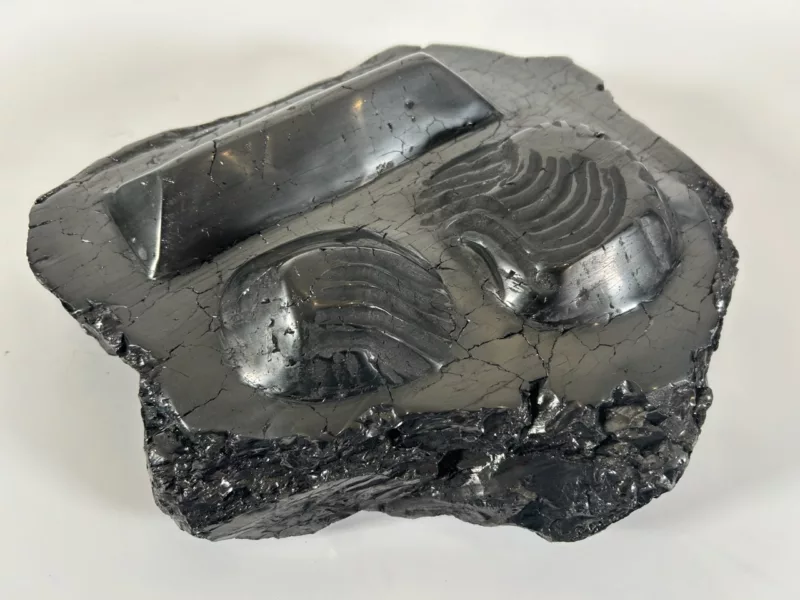 Andrea Krupp’s 'Dark Matter' at the National Museum of Industrial History 3 An anthracite coal carving shows examples of three coal stockpiles.