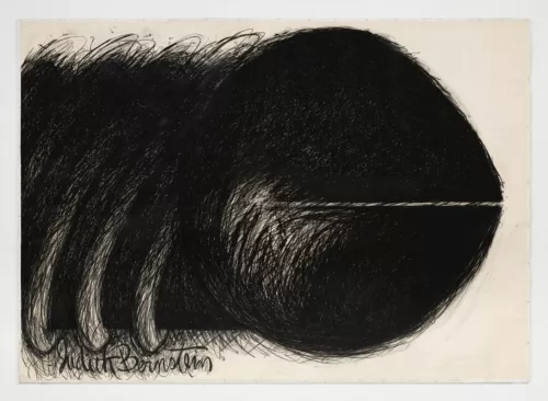 Judith BernsteinHorizontal, 1973 charcoal on paper 108 x 150 inches 274.3 x 381 cm Copyright The Artist