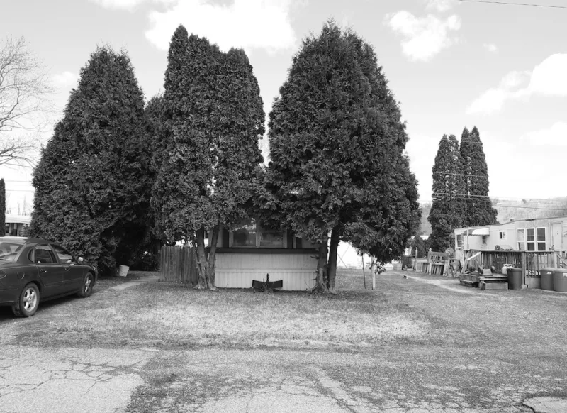 Tall trees partially obscure a mobile home trailer in a mobile home community. A car sits in a driveways at left of the house.
