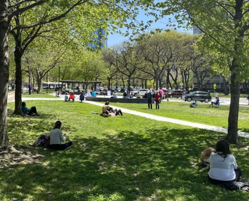 Summer in a city Park shows grass, trees, people lounging on the grass.