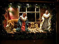 307485423 f535bba820 m