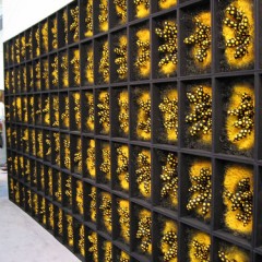 402279645 51a2be8f37