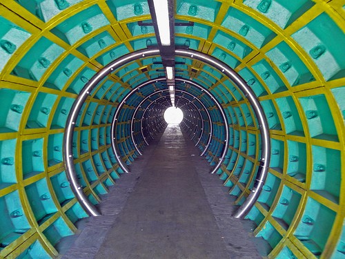 7113474905 55eedf05bd