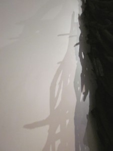 Alison Stigora shadows