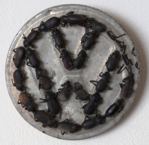 Open-ended Scripted at Gross McCleaf 3 Carey Two Types of Beatles