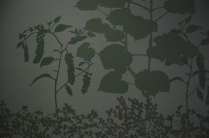 Common Place at Extra Extra Lends Environmental Insight 4 Common Place Plants