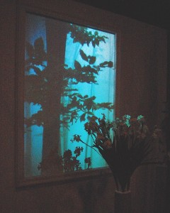 Common Place at Extra Extra Lends Environmental Insight 2 Common Place Video