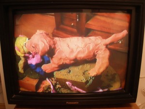 Video Served Three Ways - Little Berlin, Great and Terrible Collective and Rebekah Templeton 6 Kristina Centore