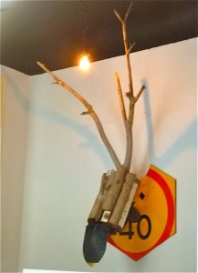 Hunting Trophies 5 P1000771