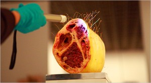 Do 20th century Conservation Standards work in the 21st Century? American Institute of Conservation Annual Meeting in Philadelphia May 31- June 2 1 Paul Theks Untitled 1966 during conservation at Whitney Museum of American Art