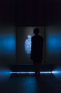 Lynette Wallworth at the Sydney Festival 4 Lynette Wallworth, Duality of Light, 2009. Photo by Grant Hancock. Courtesy of Sydney Festival.